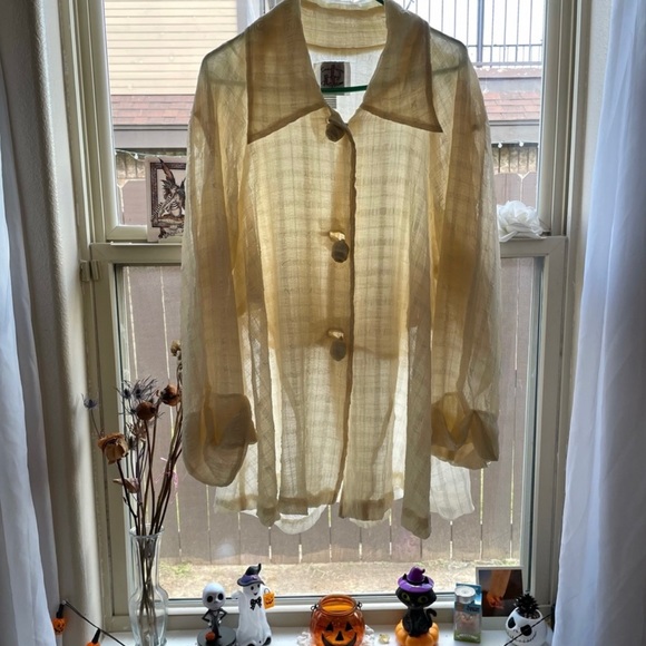 Vintage oversized Fall autumn sheer beige button down top - Picture 15 of 17